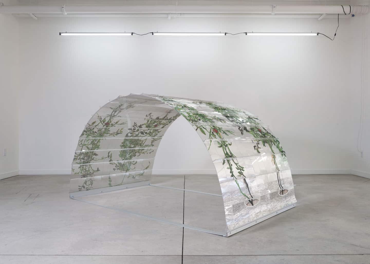 Alex Fischer, VII 6000, 2015